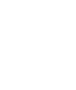 Asset 3 Asset 3